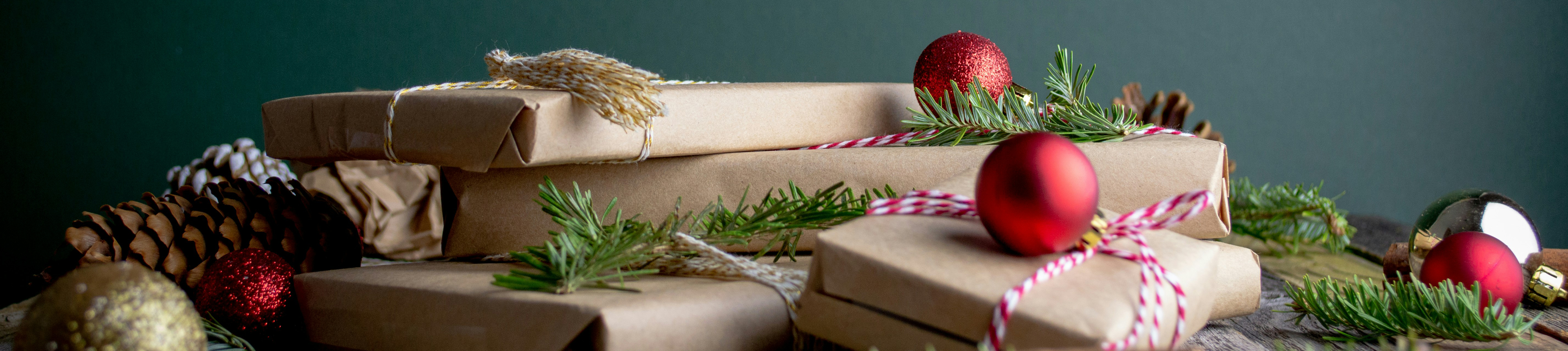 Äldre i Centrums produktbanner