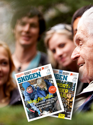 Skogen tidnings produktbild