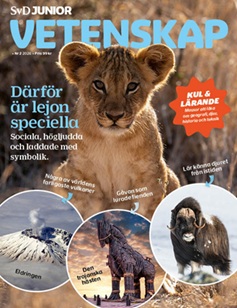 Vetenskap #8 2026 89:-s produktbild