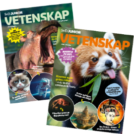 Vetenskap nr 5+6 259 kr inkl portos produktbild