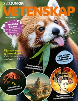 Vetenskap 6 2025 89 krs produktbild