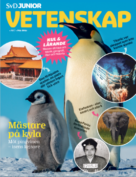 Vetenskap nr 7 89 krs produktbild