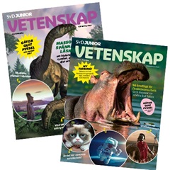 Vetenskap nr 4+5 259 krs produktbild