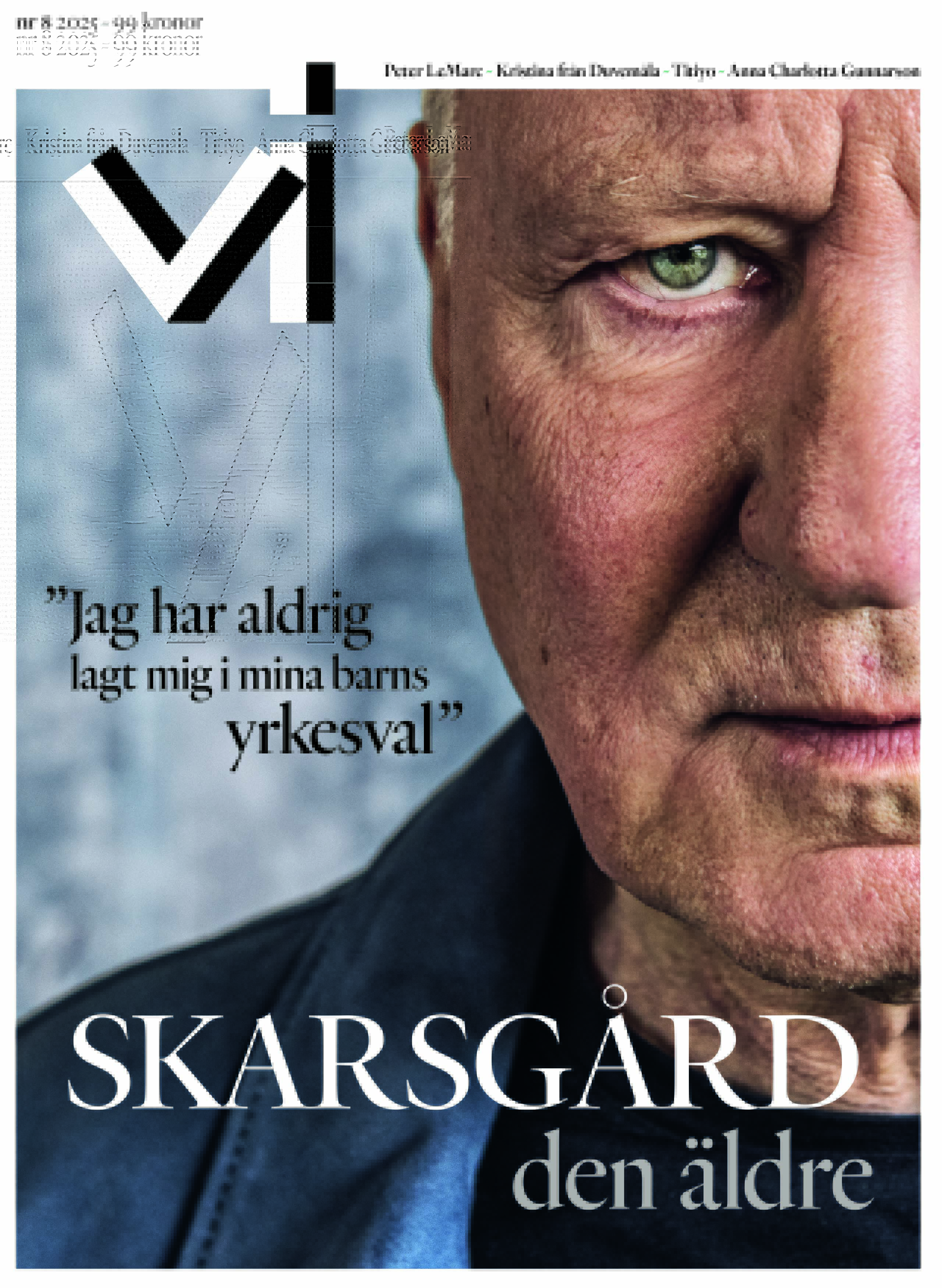Tidningen Vis produktbild